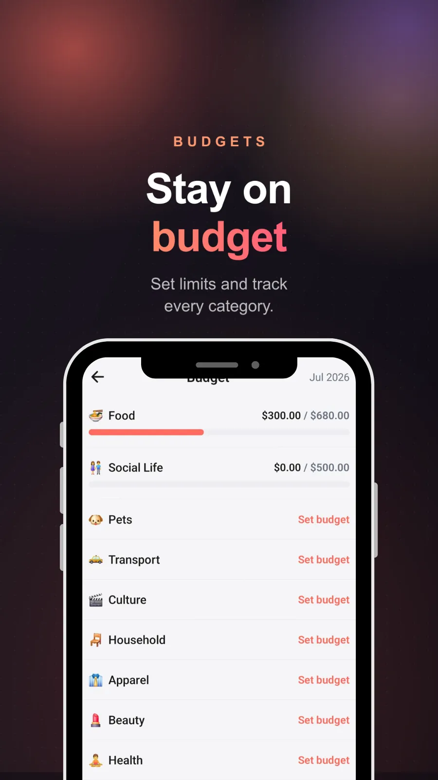 Monthly budgets per category, each with a progress bar showing how much of the limit is spent